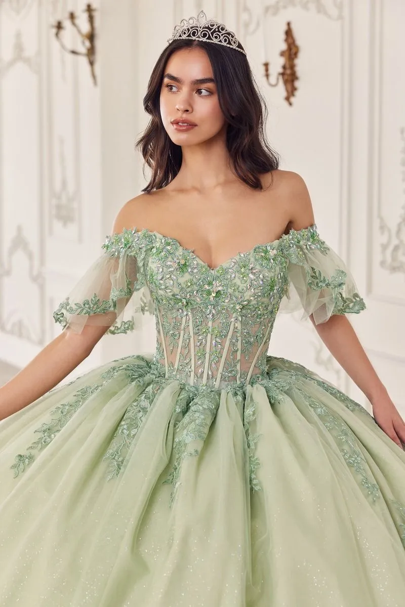 ANAVEL Off Shoulder Tulle Lace Quinceañera Ball Gown Dress