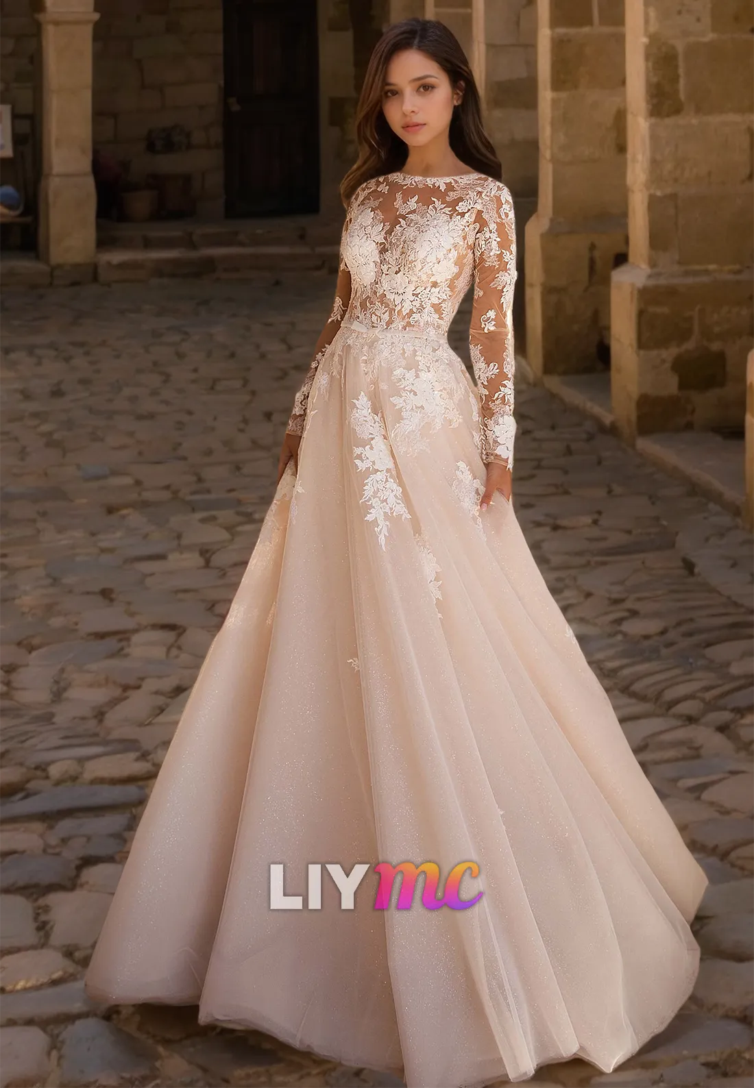 Bateau Long Sleeves Appliques Tulle Ball Gown Wedding Dress