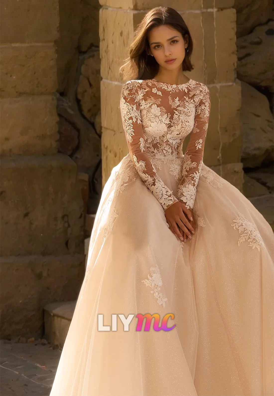 Bateau Long Sleeves Appliques Tulle Ball Gown Wedding Dress