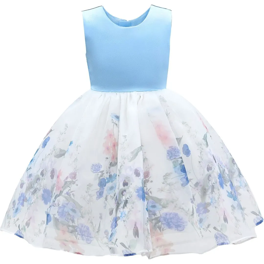 Blue Mabel Floral Garden Organza Dress