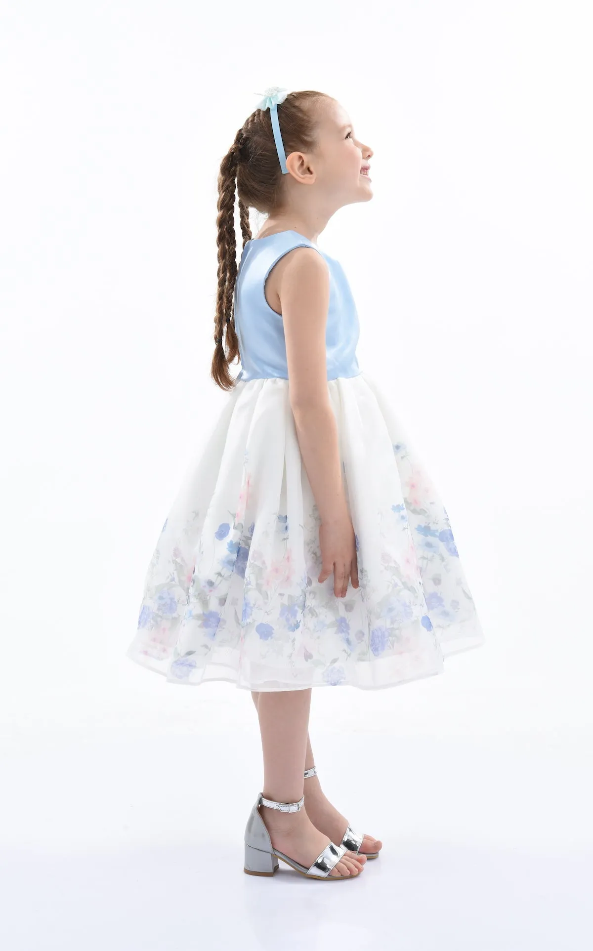 Blue Mabel Floral Garden Organza Dress