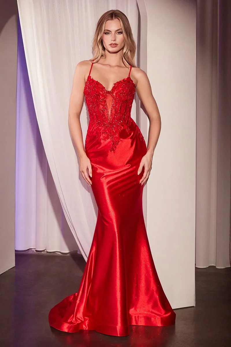 EMBELLISHED LACE & SATIN FITTED GOWN CDCC2401