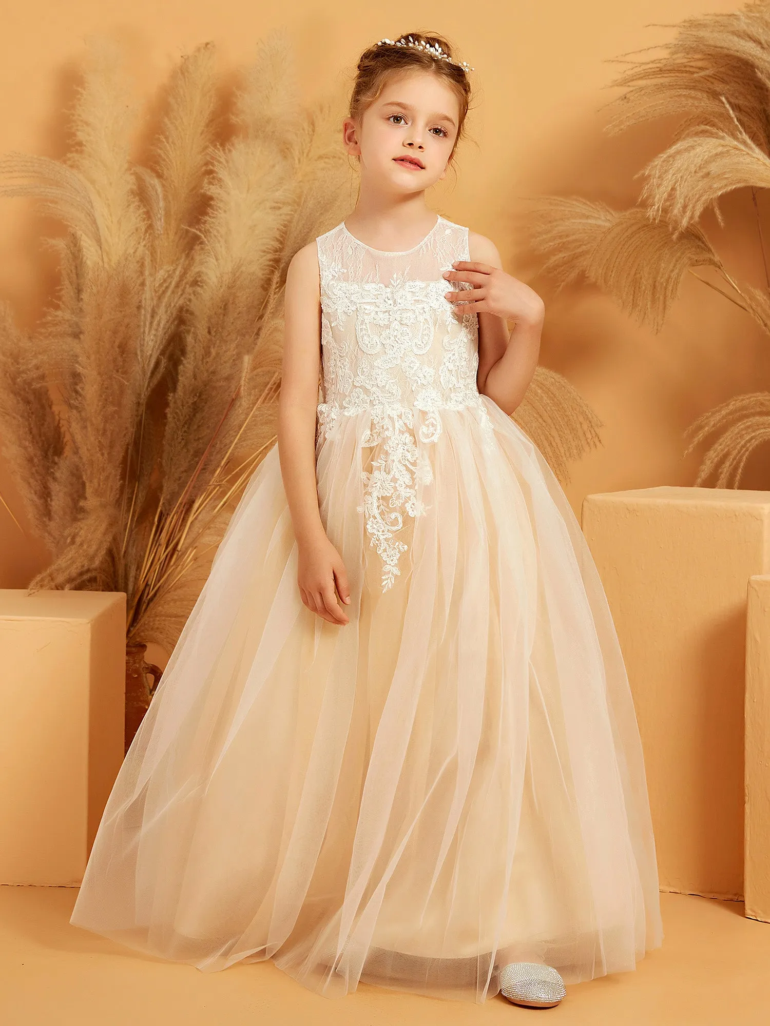 Illusion Neckline Lace Tulle Ball Gown