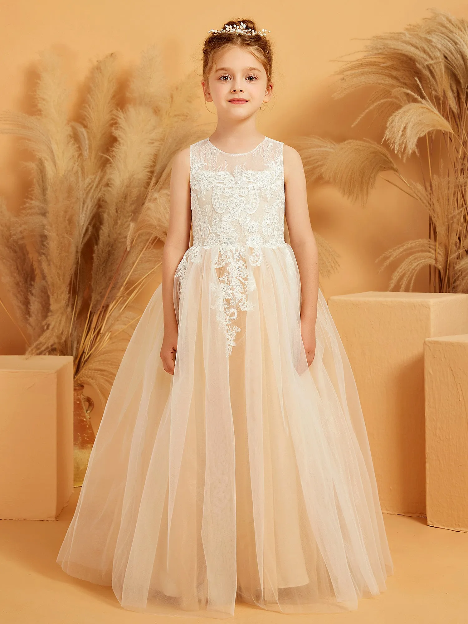 Illusion Neckline Lace Tulle Ball Gown