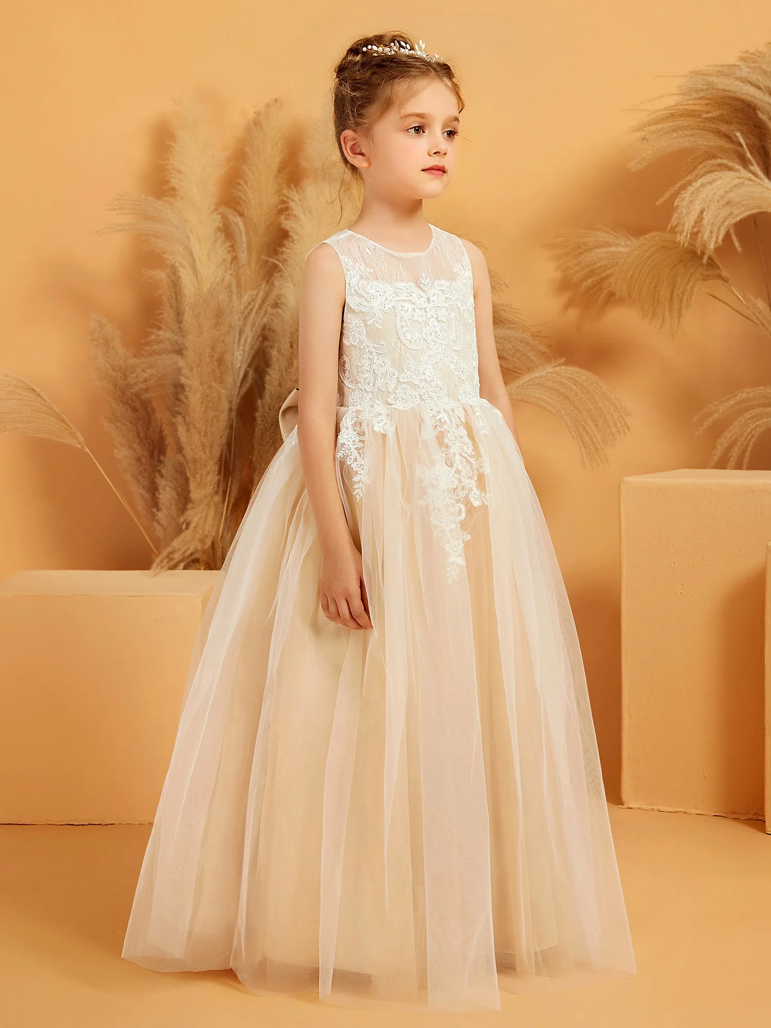 Illusion Neckline Lace Tulle Ball Gown