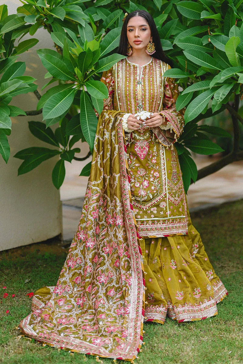 Mohsin Naveed Ranjha Zarlish Wedding Collection Vol-3 – Iqbal Bano