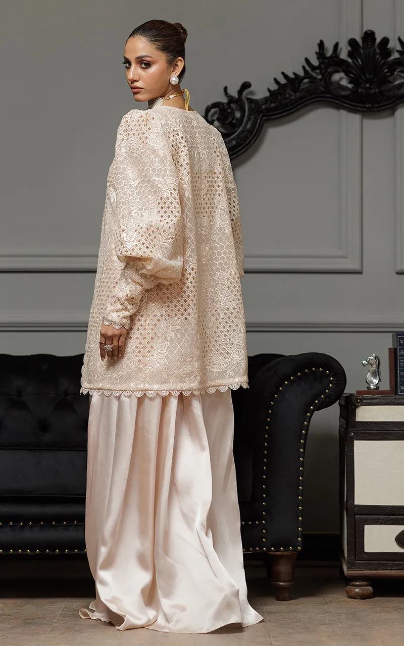 Organza Embroidered Jacket With Embroidered Blouse And Skirt